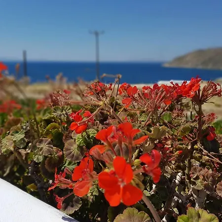 Amazing 4 Bdr Panoramic Sea View In Mykonos * オルノス